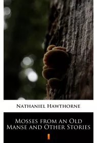 eBook Mosses from an Old Manse and Other Stories mobi epub