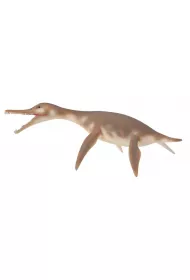 Collecta. Dinozaur Dolichorhync