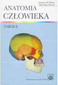 Anatomia cz�owieka. Tablice