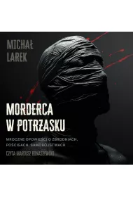 Audiobook Morderca w potrzasku mp3