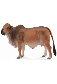 COLLECTA KROWA CZERWONA BRAHMAN ROZMIAR L BPZ