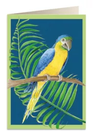 Tassotti Karnet B6 + koperta 6050 Papuga