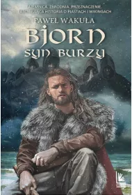 Bjorn. T.1 Syn burzy