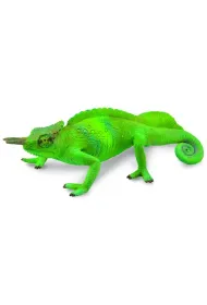 Kameleon g�rski