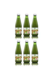 Bio Food Sok z seler�w kiszonych zestaw 6 x 300 ml Bio