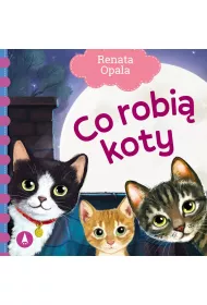 Co robi koty