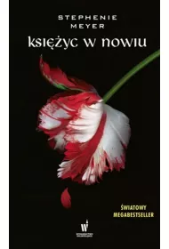 Ksiyc w nowiu