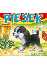 Sztywne strony kwadrat. Piesek 800