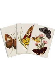 Skona Ting Stone 512 Zestaw 3 notatnik�w A6 - motyle
