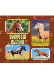Konie