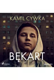 Audiobook Bkart mp3