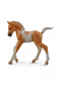 �rebi� id�ce Pinto Palomino