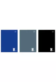 Interdruk Zeszyt A4 One Color kratka 96 kartek
