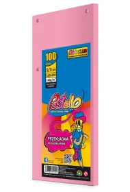 Pastello Przek�adka do segregatora 1/3 A4 100K IT170 r�owa