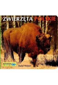 Poznajemy zwierz�ta. Zwierz�ta polskie LIWONA