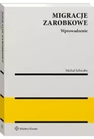 Migracje zarobkowe. Wprowadzenie do analizy