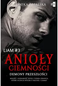 eBook Anioy ciemnoci. Demony przeszoci. Liam. Tom 3 mobi epub