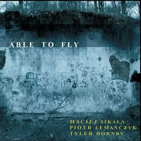 Płyty Winylowe-Blues - sklep Popmaster.pl