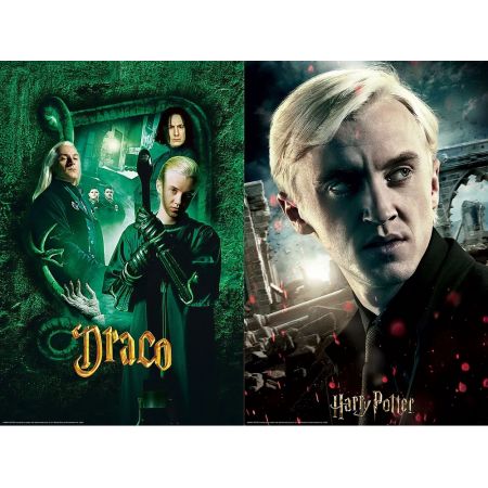 Draco Malfoy  Wizarding World