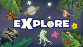 Explore