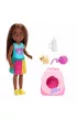 Barbie Family&Friends. Klub Chelsea JBF45 Mattel