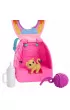 Barbie Family&Friends. Klub Chelsea JBF45 Mattel