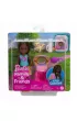 Barbie Family&Friends. Klub Chelsea JBF45 Mattel