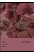 Top-2000 Zeszyt A5 Botany kratka 60 kartek