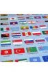�wiat Polityczny z flagami 1:70 000 000 mata