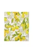 Adresownik Du�y Cytryny z Amalfi Peter Pauper Press