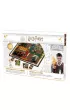 Harry Potter Hogwart Wizardry Quest