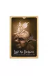 Wild Wisdom of the Faery Oracle, Dzika M�dro�� Wyroczni Wr�ek