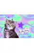 St. Majewski Podk�ad laminowany My Little Friend