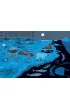 Kt�r�dy do Yellowstone? Dzika podr� po parkach narodowych (format podr�czny)
