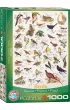 Puzzle 1000 el. Ptaki Eurographics
