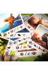 Helvetiq. Alpina (PL) IUVI Games