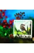 Helvetiq. Alpina (PL) IUVI Games