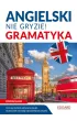 Angielski. Gramatyka. Nie gryzie!