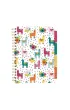 Pukka Pad Pukka Project Book Colour Wash B5 linia 100 kartek 3 szt.