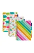 Pukka Pad Pukka Project Book Colour Wash B5 linia 100 kartek 3 szt.