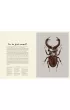 Insektarium. Muzeum Owad�w