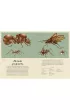 Insektarium. Muzeum Owad�w
