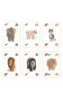 Cztery �apy