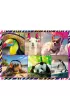 Puzzle 4x250 el. Zabawne zwierzaki Trefl