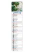 Kalendarz 2026 paskowy w�ski KPW V.6 Glamour
