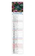 Kalendarz 2026 paskowy w�ski KPW V.6 Glamour