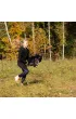 Hobby Horse Skippi. Ko� na kiju gniady