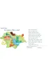 Ju� czytam sylabami. Elementarz