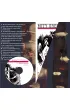 Minotaur. Mity greckie. Opowie�ci z zaczarowanego lasu + CD