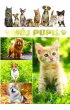 M�j pupil